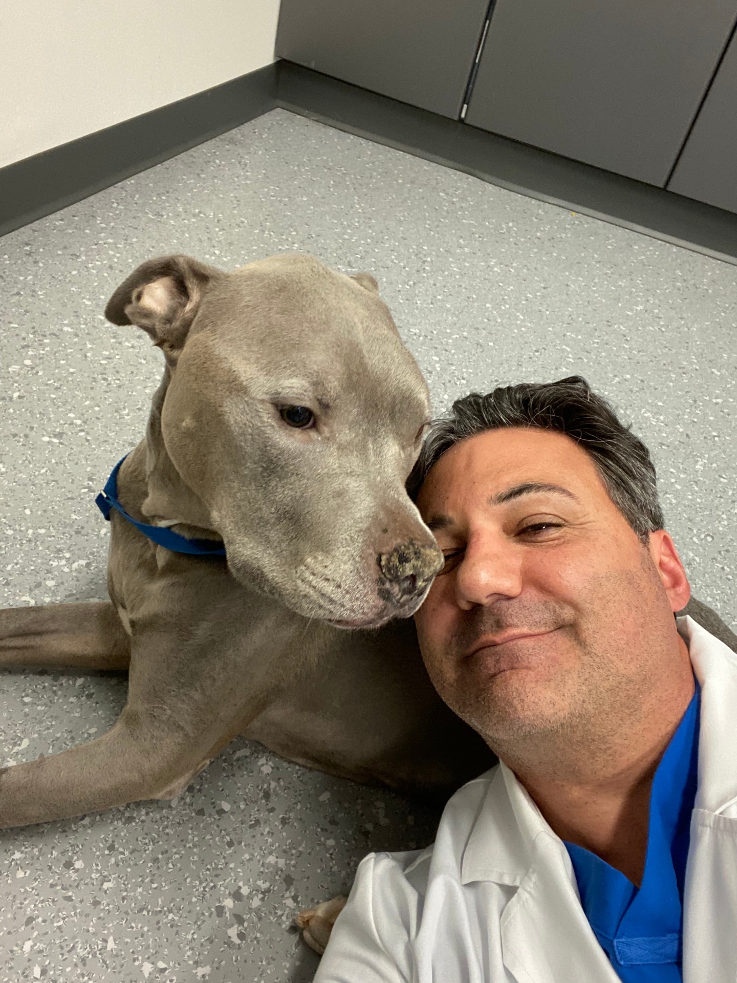 Veterinary Oncology Services | Pet Cancer Care