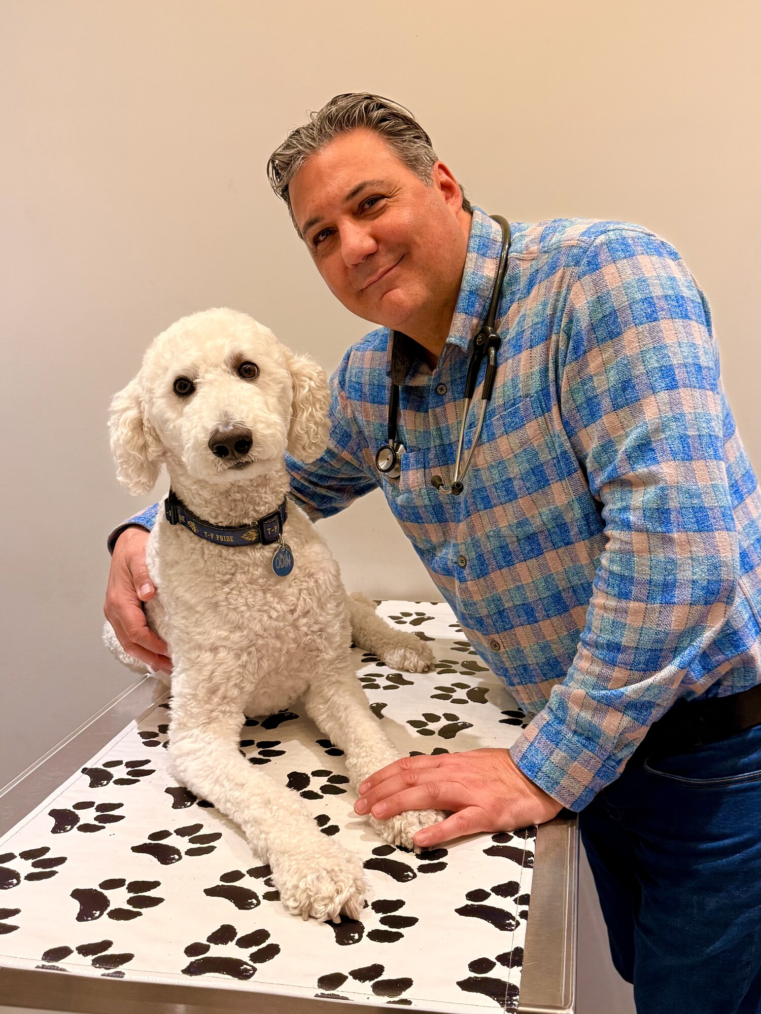 Veterinary Oncology Services | Pet Cancer Care
